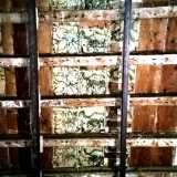 ...che presentano ancora le originali decorazioni floreali...